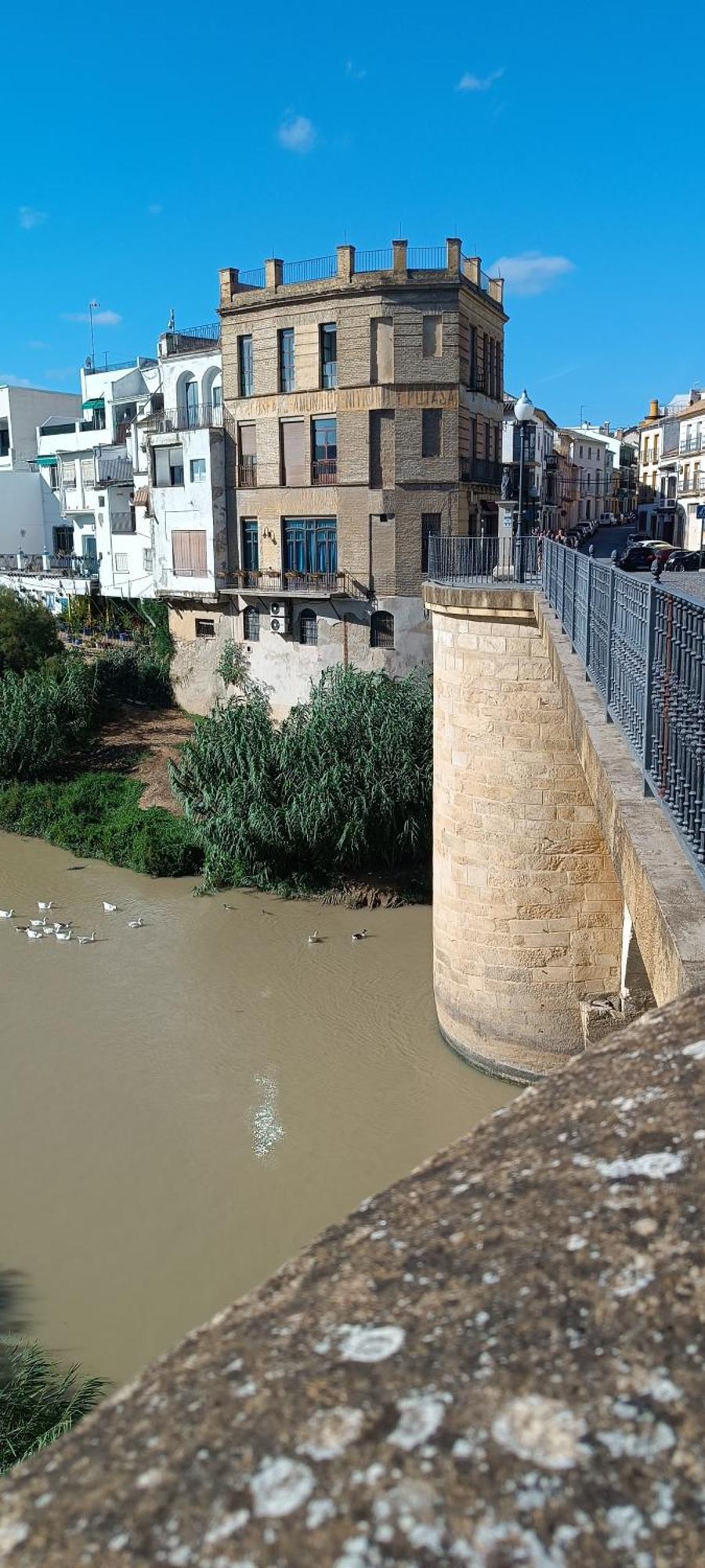 Appartamento El Patio De La Cris Puente Genil Esterno foto